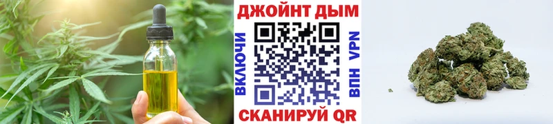 Cannafood конопля  Ногинск 
