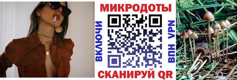 Псилоцибиновые грибы Psilocybe  купить наркоту  Ногинск 